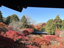 プリヴィエレジェ(privilegie)/