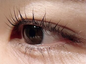 カラン 焼津店(CALIN)/ラスティングカールパーマ