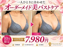 ナリッシュバスト(Nouriche Bust)