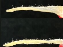モンシェリ/艶肌ワックス一度で角栓ごっそり