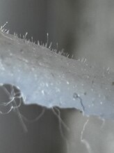 ソイル(Soil)/全顔フェイスワックス