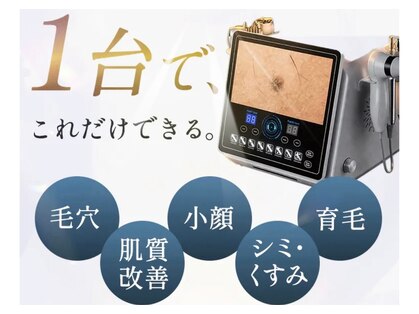 アネーロ(anhelo)の写真