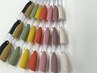 【1日2名様限定】秋のジェルネイルワンカラー　6000円→4980円