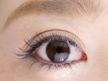 ブードワール(boudoir)/0.15mm Cカール 100本