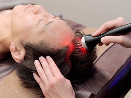 きこりのいずみの写真