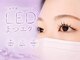 ウィ 太田(Oui)の写真/圧倒的キープ力★平均1.5~2倍長持ちの【LEDエクステ】で美しい仕上がり続く♪