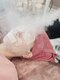 シャープライン 勝どき(Sharp Line)の写真/【韓国美容最強の組み合わせ】毛穴縮小♪ララピール×毛穴洗浄で毛穴に特化したコース！