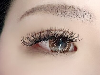 アミー(amie)の写真