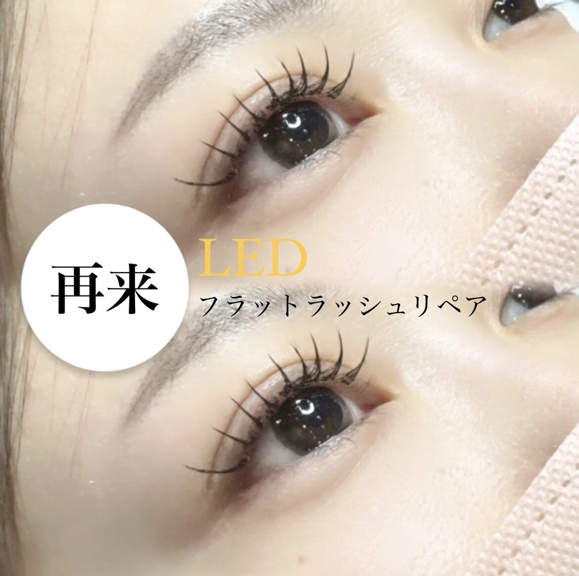 【再来の方限定】LEDラッシュリペア1カ月以内80本