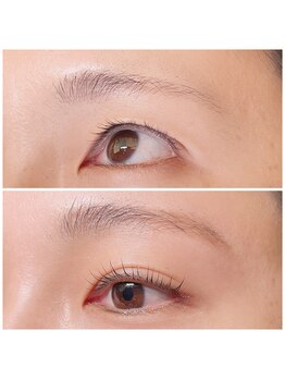 ヨリソイ(yorisoi)/HBL+パリジェンヌ