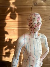 アルバ暁子鍼灸治療院(alba暁子鍼灸治療院)/つぼ人形