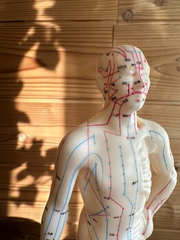 アルバ暁子鍼灸治療院(alba暁子鍼灸治療院)/つぼ人形