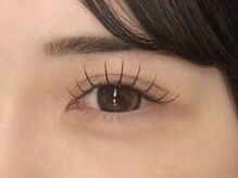 ルピナス 川口(Lupinus)/フラットラッシュ120本