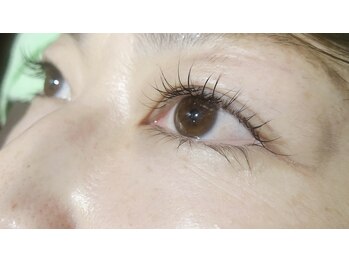 シルフ 三田店(Sylph)/