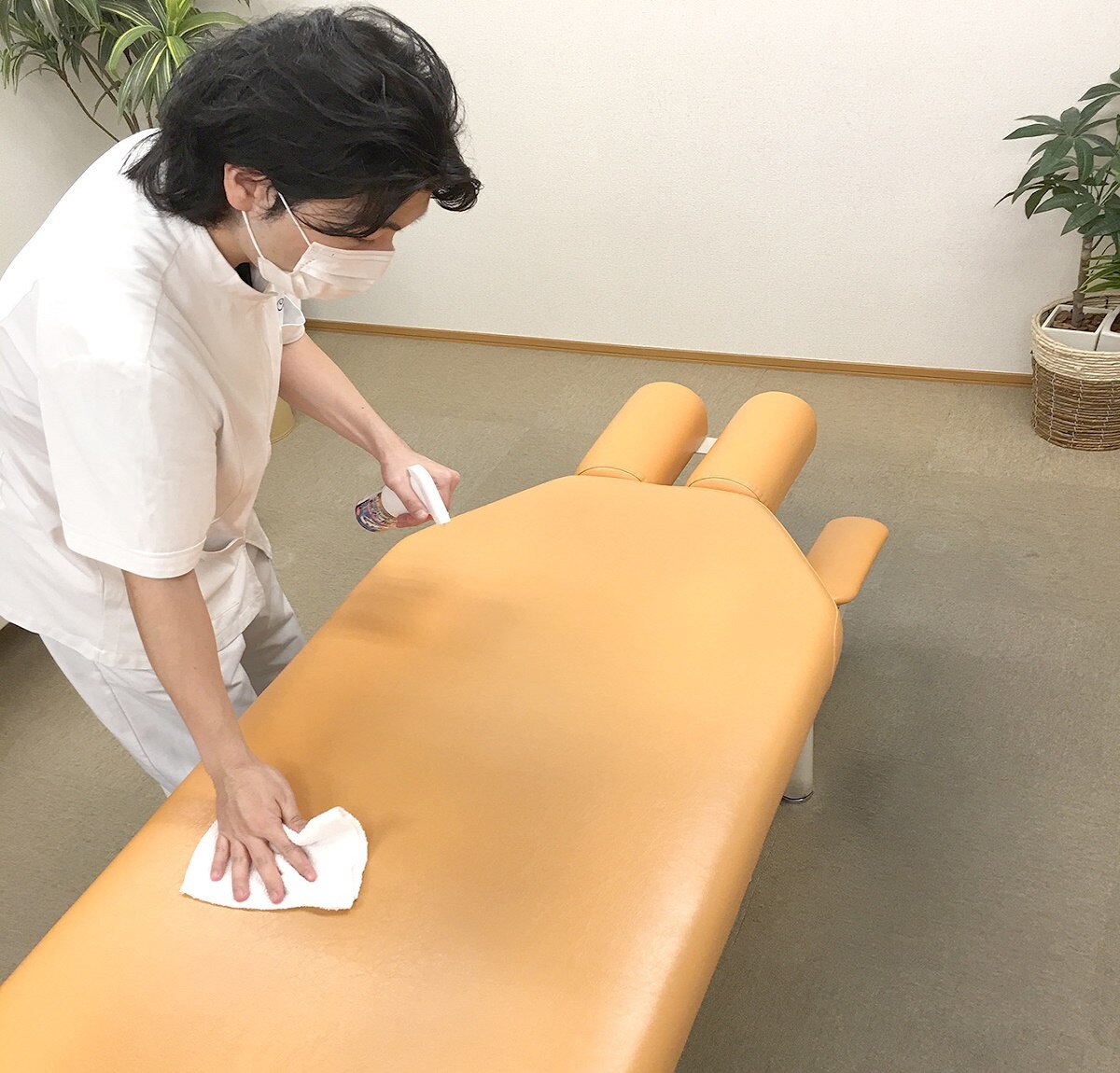 Body Support Systems マッサージ用クッション