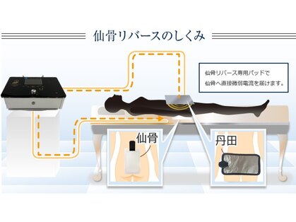 ワイプ(wipe)の写真