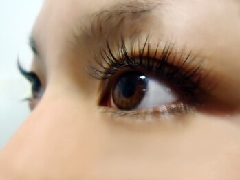 ティーラッシュ(T lash)/人気急上昇！フラットラッシュ