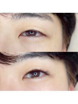 ルピナス(Lupinus)/LEDボリュームラッシュ400本