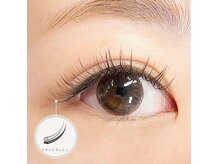 フェリチータ(felicita)