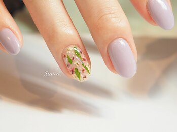 スオラ(suora)/シンプルコース×ドライフラワー