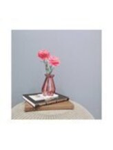 アマナ(Amana)/インテリア・花