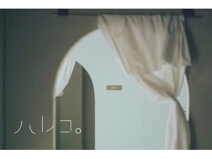 ハレコ。の写真