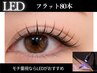 【LED】高持続LEDフラットラッシュ80本￥6500★オイルクレンジングOK♪