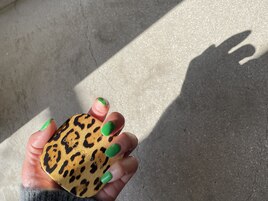 グリーンのトレンドカラー