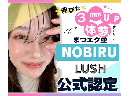 エルア 梅田堂山店(elua)の写真