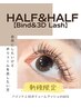 【新規】バインドハーフ&ハーフ（3Dラッシュ,バインドロックMIX）120束￥9200