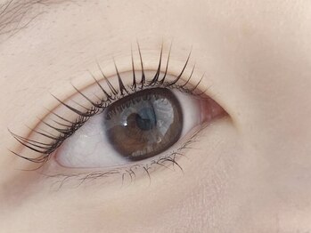 キャリコ(calico)/