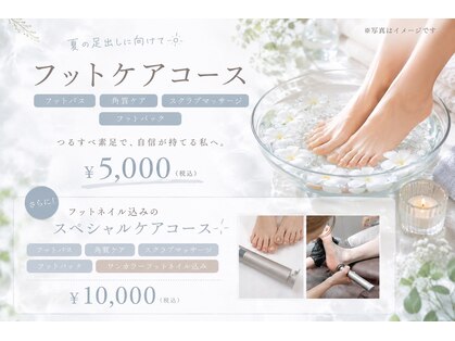 エル(Ailes)の写真