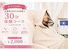 【オプション】高濃度HHO水素吸入(30分)期間限定価格¥2000