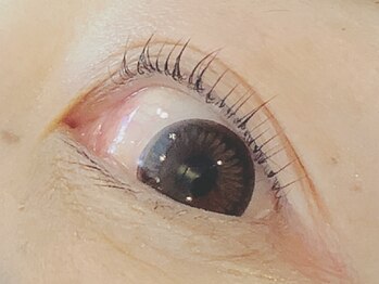 まつ毛エクステ専門店 リノ ビューティーアイラッシュ(LINO)/パリジェンヌラッシュリフト