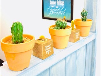 関谷カイロプラクティック整体院/サボテンブラザース