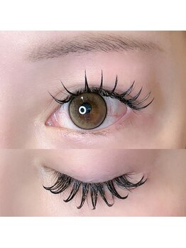 アレアラッシュ 銀座(alea lush)/ダブルフラットラッシュ　120束