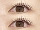 エルブリンク(elblink)の写真