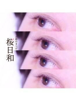 京都のまつげ 桜日和/