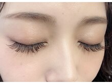 レディ(Lady)/ブラウンフラットラッシュ