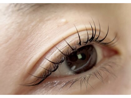 アウリー(Aulii)の写真