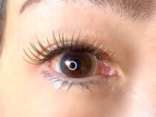 椛(momiji)/Wフラットラッシュ120束