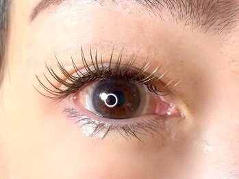 椛(momiji)/Wフラットラッシュ120束