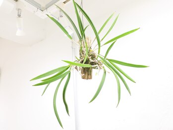 アジア整体 天白院/