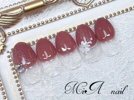 パラジェル★定額コース