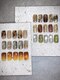 ネイルジョブ(NAIL JOB)の写真/［ブレンドカラー(カラー調合)に選べるbase◎TOPの質感ハイクオリティ］洗練された技術と丁寧なケア☆