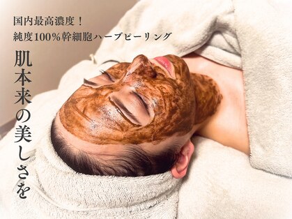 ベルペール(Belle perle)の写真