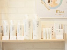 シャンディ(Shandy)/