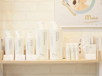 シャンディ(Shandy)/