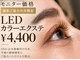 ミューズ 福岡高宮(MUSE)の写真