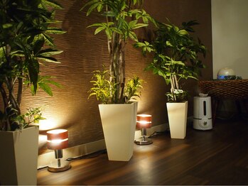 グイット 新宿西口店(Goo-it！)/照明・備品にもこだわり♪